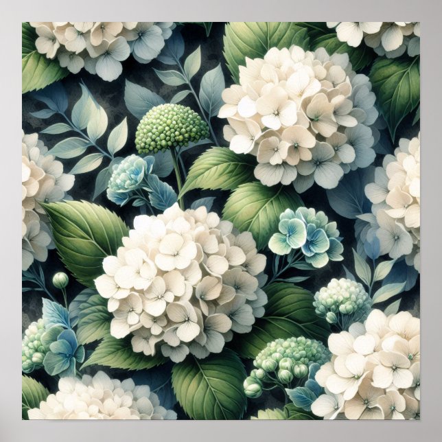 Botanisches Gemälde mit weißem Hydrangea Poster (Vorne)