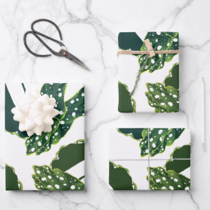 Botanisches Gepunktetes Begonia Blätter Wrapping P