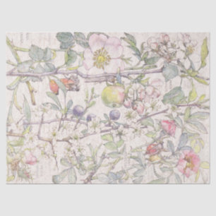 Botanisches Holzapfel-Blumen-Blüten-Seidenpapier Seidenpapier