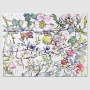 Botanisches Holzapfel-Blumen-Blüten-Seidenpapier Seidenpapier