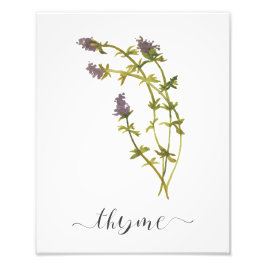 Botanisches Kraut-Aquarell-Thyme Fotodruck