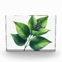 Botanisches Leaf und Blüten