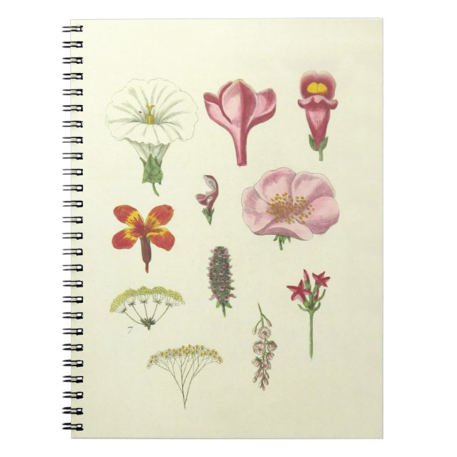 Botanisches Notebook Notizblock (Vorderseite)