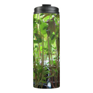 Botanisches Pflanzen-Sämlings-Foto Thermosbecher