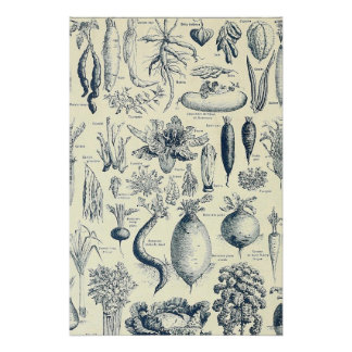 botanisches Poster
