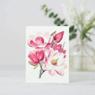 Botanisches Rosa Blume Postkarte