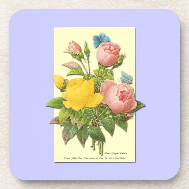 Botanisches Rosa Gelbe Rosen Untersetzer (Vorderseite)