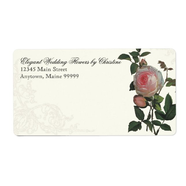 Botanisches Rosa, Schwarz - Rücksendeadressen-Aufk (Vorne)