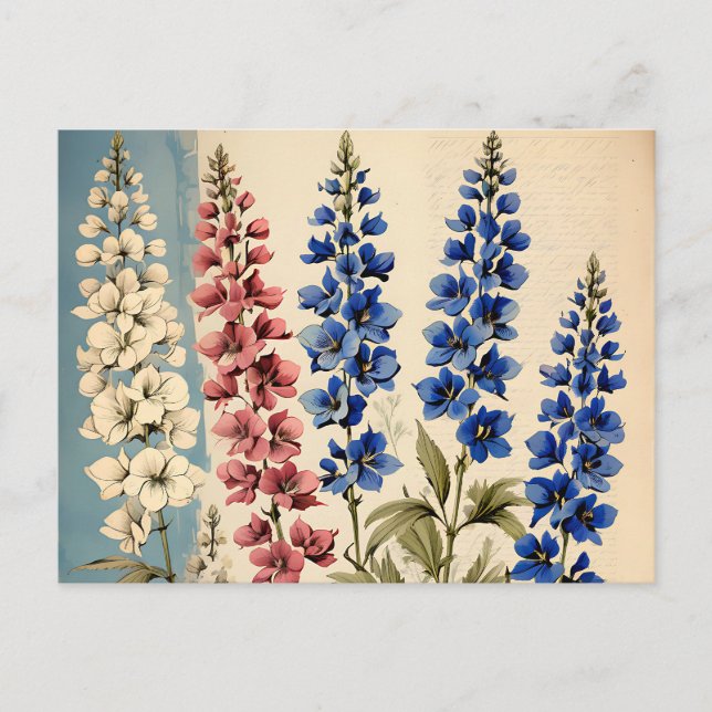 Botanisches Rustikales Delphinium Postkarte (Vorderseite)