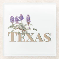 Botanisches Texas Bluebonnet 2