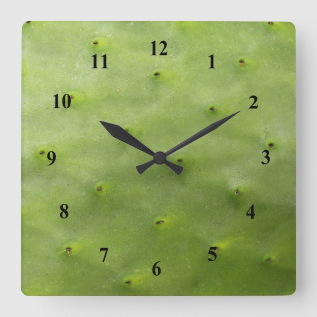 Botanisches tropisches grünes Kaktus-Foto Quadratische Wanduhr (Vorderseite)
