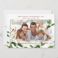Botanisches Weihnachtsjasmine Blume Foto