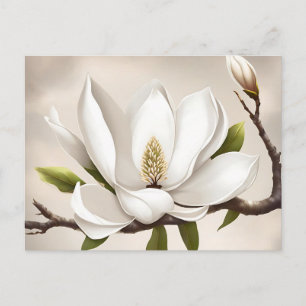 Botanisches Weißes Magnolia Postkarte