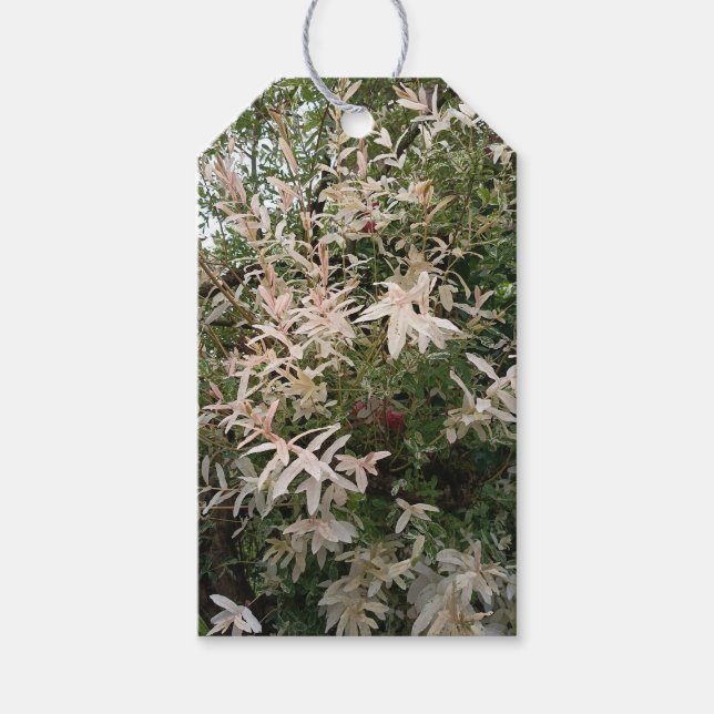 Botanisches Wildblumen-Geschenk-Anhänger Geschenkanhänger (Vorderseite)