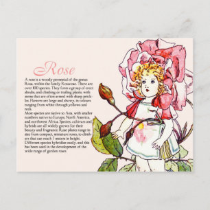 Botany Collector Vintage Rose Girl Pflanze Info Postkarte