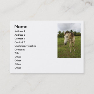 Botengang, Visitenkarte