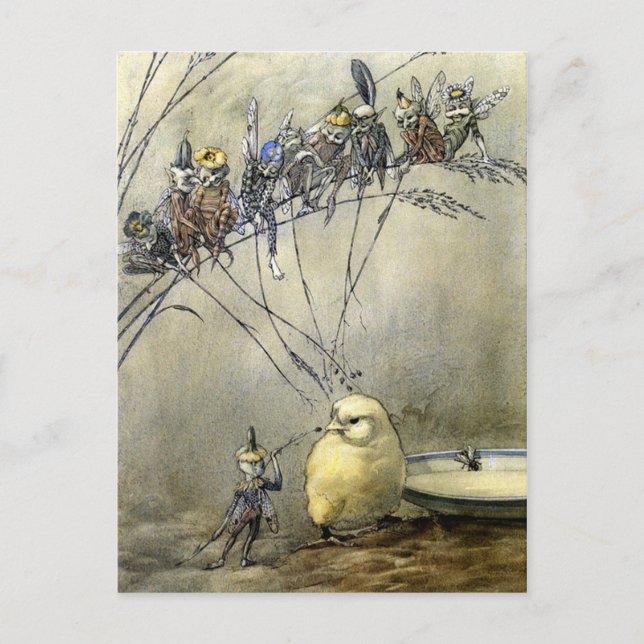 "Bother the Gnat" - Blue-Tone Postkarte (Vorderseite)