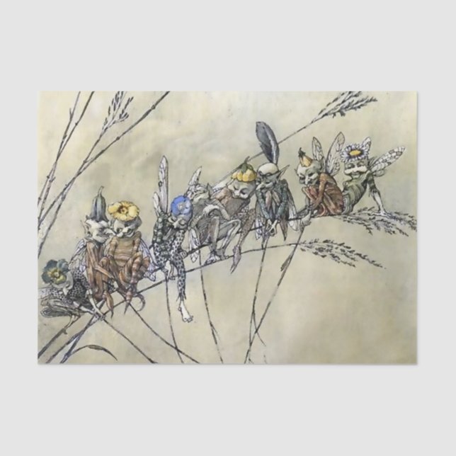 "Bother the Gnat" von A Duncan Carse Seidenpapier (Vorderseite)