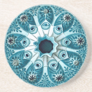 Botryllus Polycyclus Ernst Haeckel Kunstkunst Getränkeuntersetzer