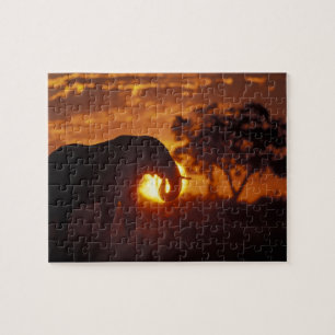Botsuana, Chobe National Park, Bull Elephant Puzzle