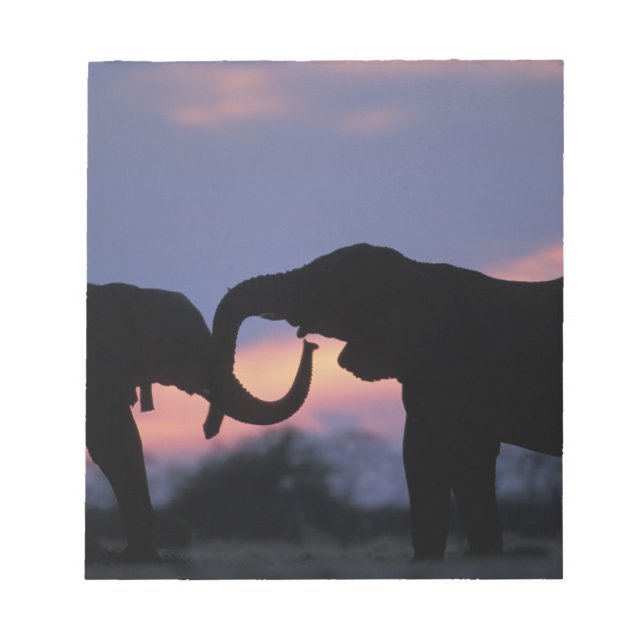 Botsuana, Chobe National Park, Elefanten Notizblock (Vorderseite)