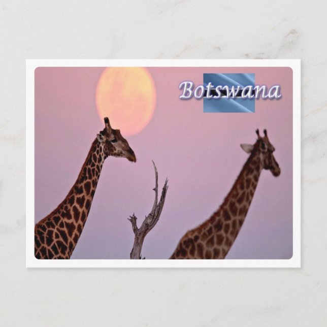 Botsuana - postkarte (Vorderseite)
