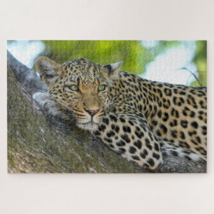 Botswana African Leopard Puzzle