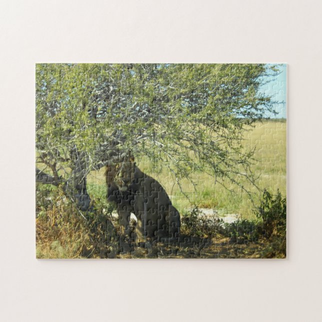 Botswana Central Kalahari Lion Savannah Africa Puzzle (Horizontal)