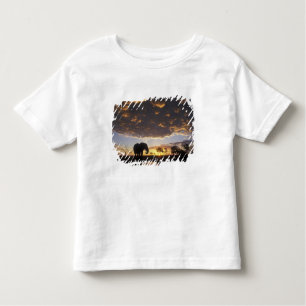 Botswana, Chobe National Park, Elephant Kleinkind T-shirt