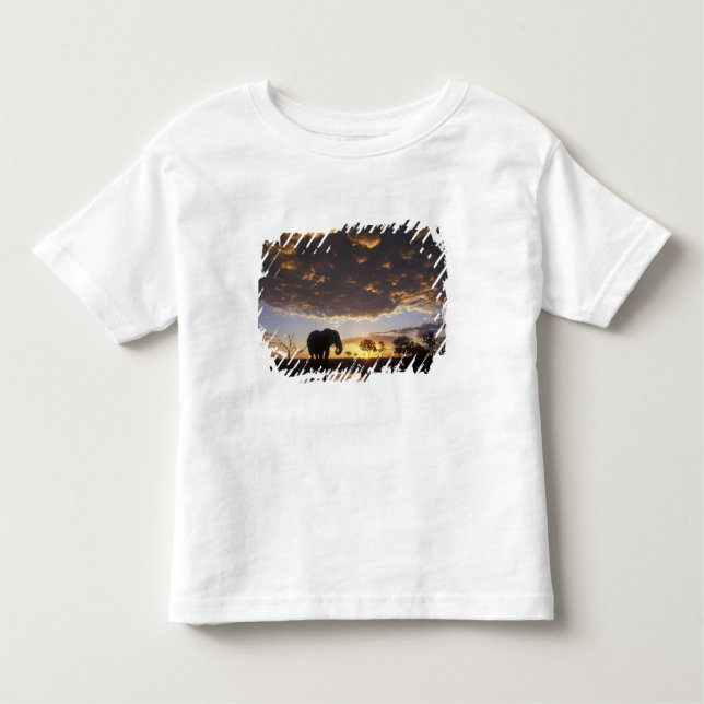 Botswana, Chobe National Park, Elephant Kleinkind T-shirt (Vorderseite)