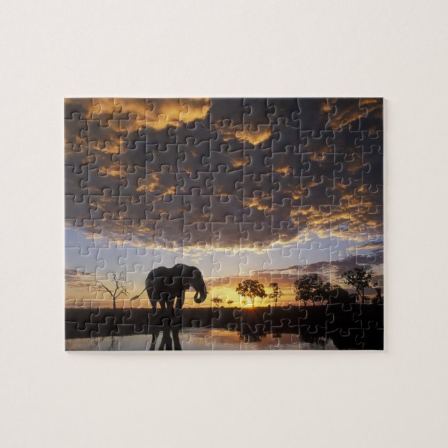 Botswana, Chobe National Park, Elephant Puzzle (Horizontal)
