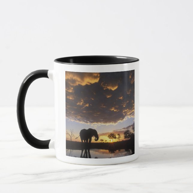 Botswana, Chobe National Park, Elephant Tasse (Links)