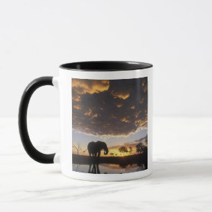 Botswana, Chobe-Nationalpark, Elefant Tasse