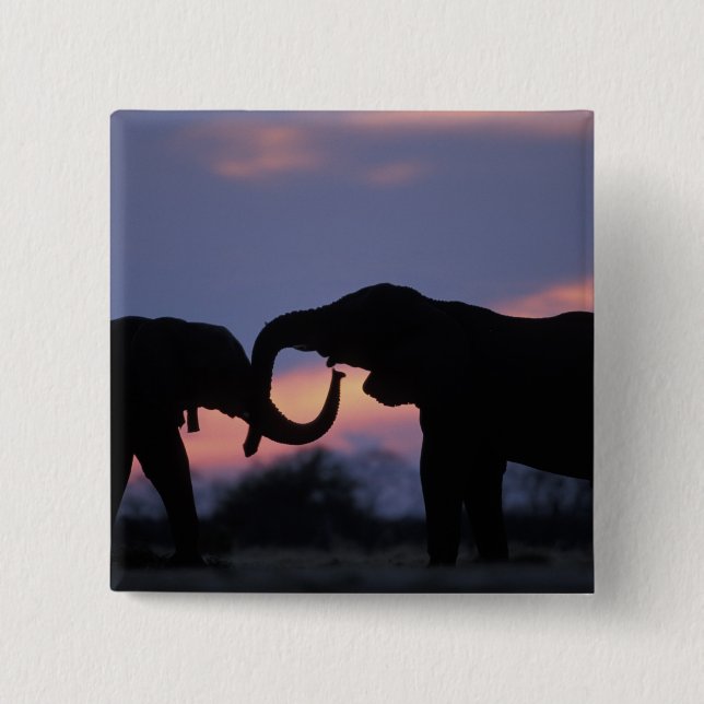 Botswana, Chobe-Nationalpark, Elefanten Button (Vorderseite)
