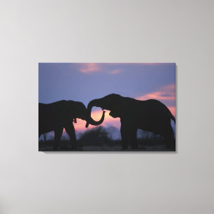 Botswana, Chobe-Nationalpark, Elefanten Leinwanddruck