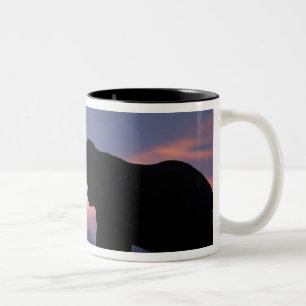 Botswana, Chobe-Nationalpark, Elefanten Zweifarbige Tasse