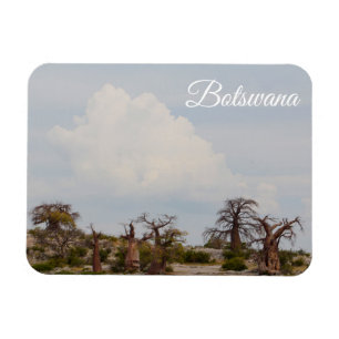 Botswana Kubu Baobab Insel Go Travel Magnet