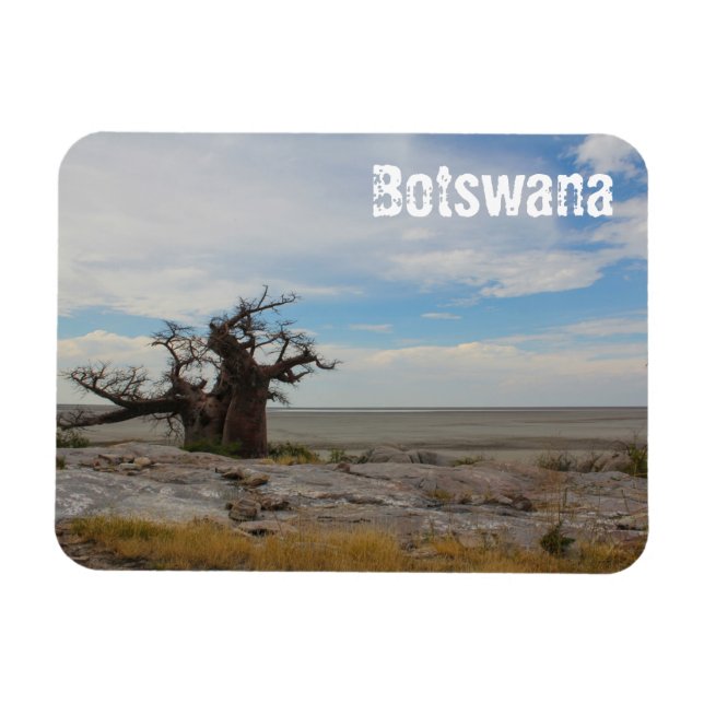 Botswana Kubu Baobab Island Go Magnet (Horizontal)