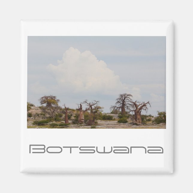 Botswana Kubu Baobab Island Go Magnet (Vorne)