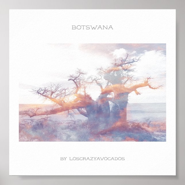 Botswana Kubu Island Baobab Reiseplakat Poster (Vorne)