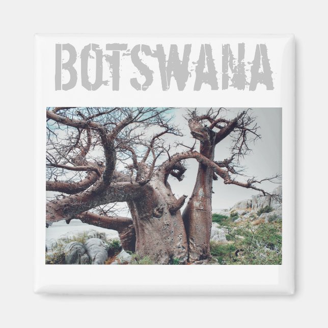 Botswana Kubu Island Baobab Tree Magnet (Vorne)