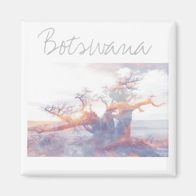 Botswana Kubu Island Baobab Tree Magnet (Vorne)