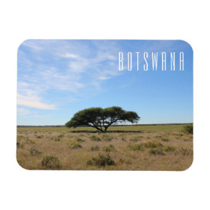 Botswana Landschaft Savannah Savanna Tree Grass Magnet