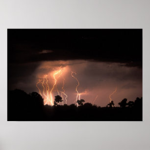 Botswana, Moremi-Wildreservat, Blitze füllen Poster