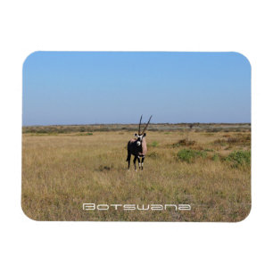 Botswana Oryx Animal Savannah Travel Magnet