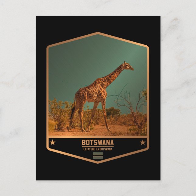 Botswana Postkarte (Vorderseite)
