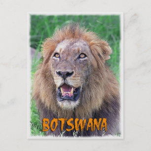 Botswana Postkarte