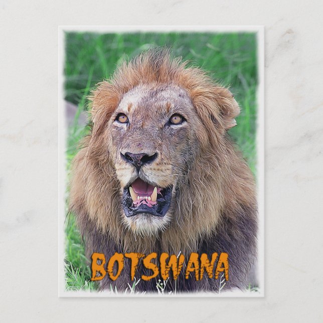 Botswana Postkarte (Vorderseite)