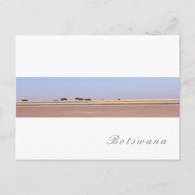Botswana Salt Pans Savannah Grass Landschaft Postkarte (Vorderseite)