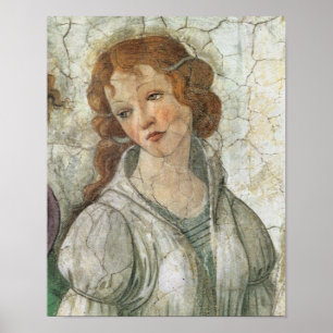 Botticelli Goddess Renaissance Fine Art Poster